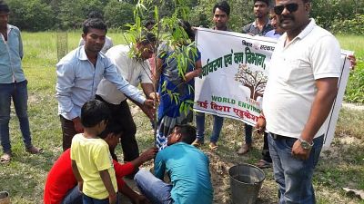 Environment and natural resource management